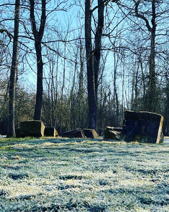 Dans Un Cadre Exceptionnel, Ferme Renovee A 17Km De Paris Vila Boissy-Saint-Léger Exterior foto